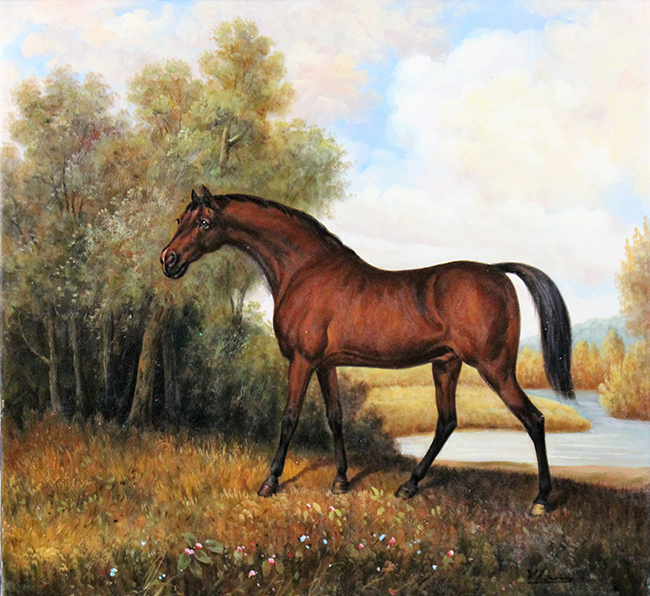 ANONIMO, "Cavallo"