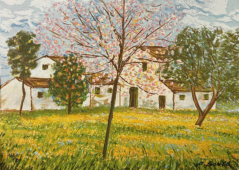 MICHELE CASCELLA, 1984