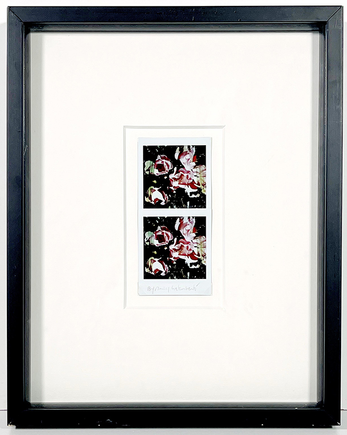 MAURIZIO GALIMBERTI, "BiFlowers"