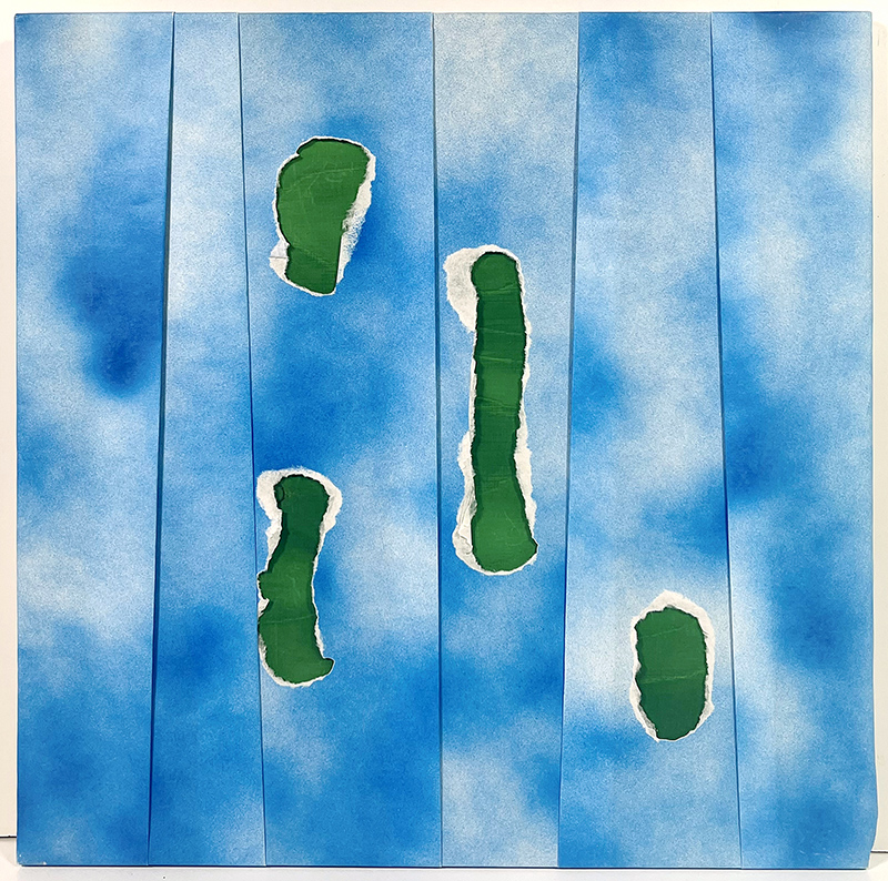 PAOLINO ANTONIO, "Mare di alghe"