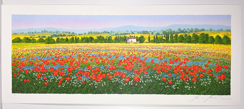 FRANCO BOCCHI