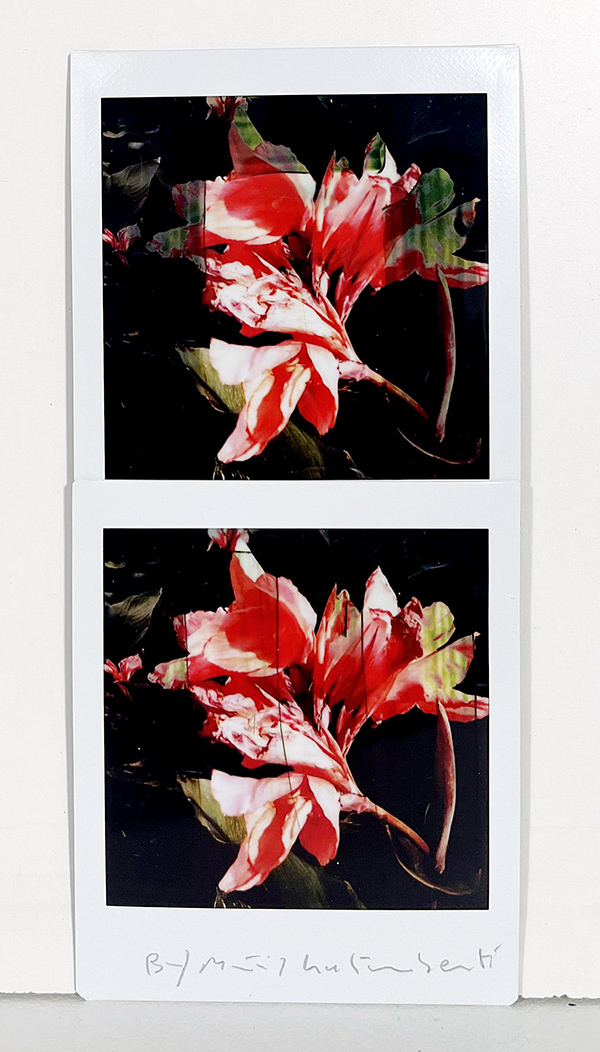 MAURIZIO GALIMBERTI, "BiFlowers"