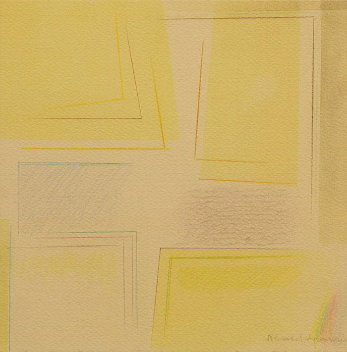 RICCARDO GUARNERI "Variazioni del sentire", anno 2016-19