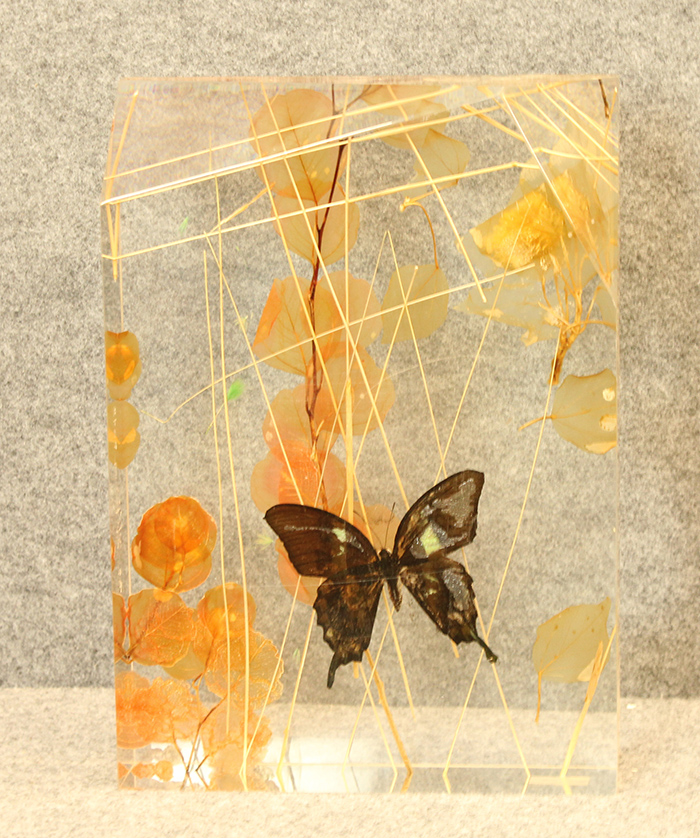 LORENZO VISCIDI BLUER, "Mystic flight", anni 2000