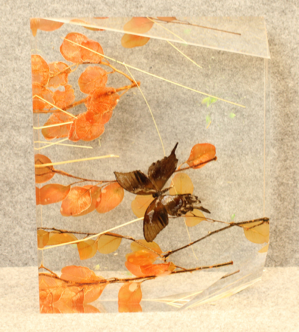 LORENZO VISCIDI BLUER, "Mystic flight", anni 2000