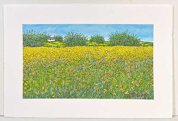 DAUREA GIOVANNI, "Primavera"