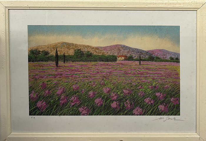 MARIO SOAVE, "Campagna rosa"