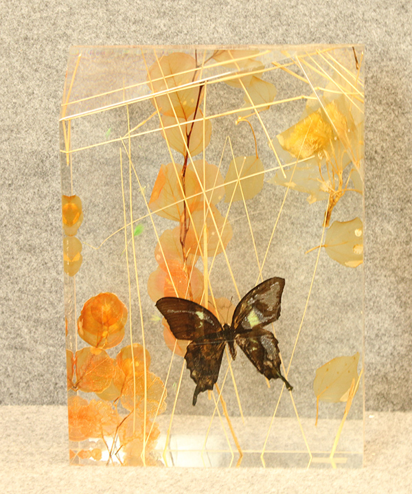 LORENZO VISCIDI BLUER, "Mystic flight", anni 2000