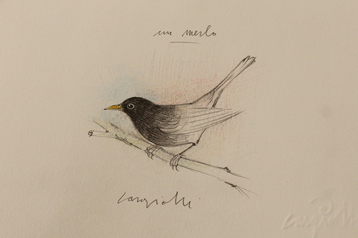 CLAUDIO CARGIOLLI, "Un Merlo", 2024