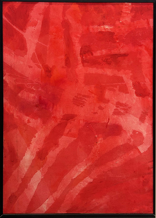 FRANCA PISANI, "Sguardi infiniti", 2010