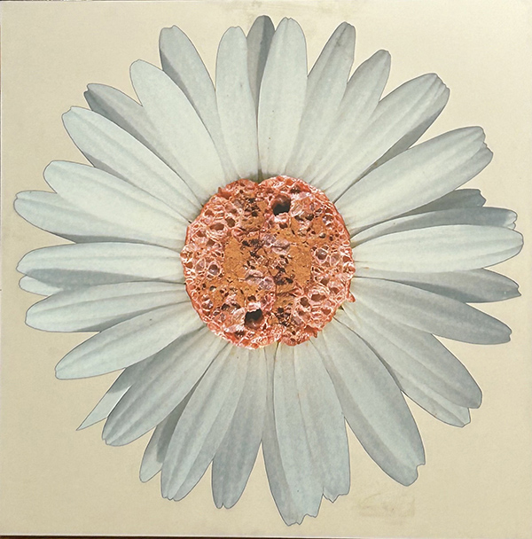 PEP MARCHEGIANI, "Margherita", 2017