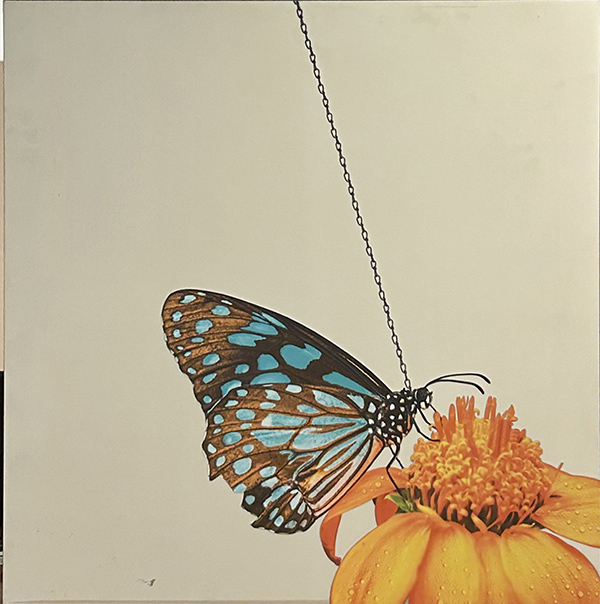 PEP MARCHEGIANI, "A catena", 2017