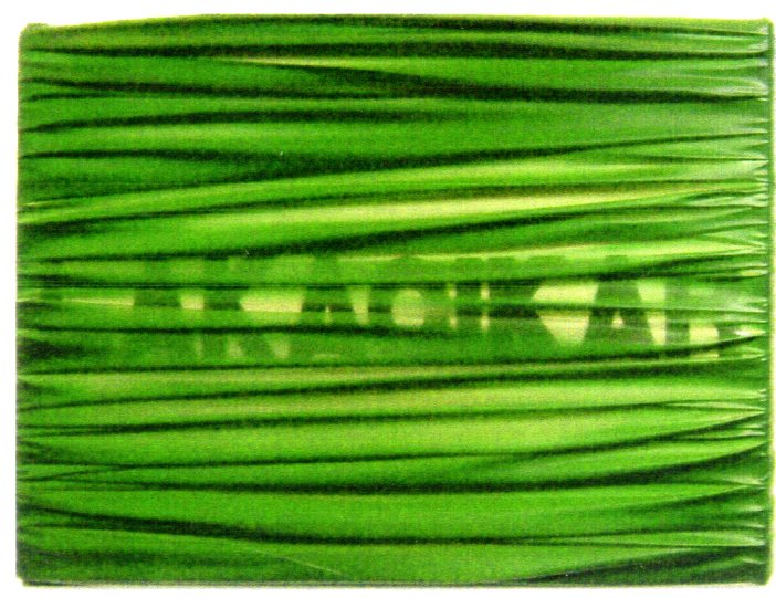 UMBRTO MARIANI, "La gagikar" 1996