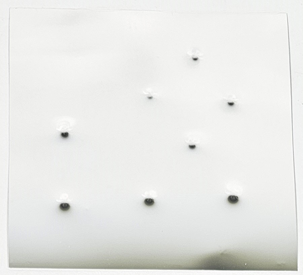 Angelo BRESCIANINI "Senza Titolo
