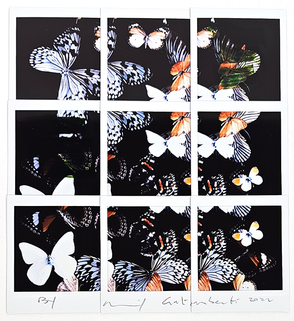 Maurizio Galimberti “Butterfly” 
