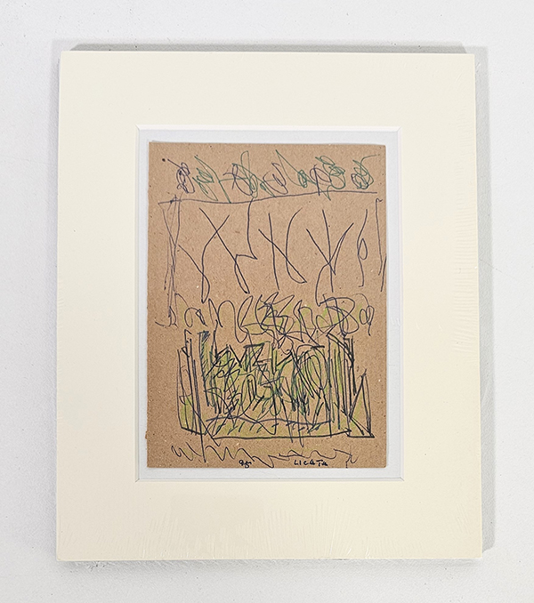 Riccardo Licata, Senza Titolo 
