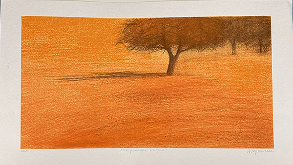 CARMELA DA GIOZ, "Il grande albero", 2004