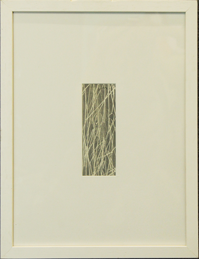 MARIO DELUIGI, anni '70