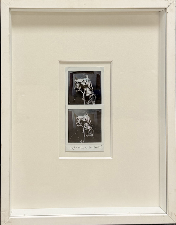 MAURIZIO GALIMBERTI, Senza titolo