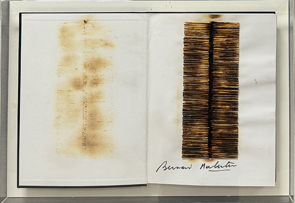 BERNARD AUBERTIN, "Livre brulee-Il fuoco e il rosso"