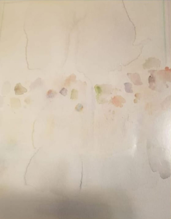 RICCARDO GUARNERI, "Ingiustificate vivacità"