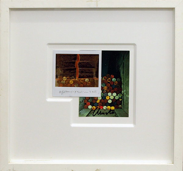 MAURIZIO GALIMBERTI PER CHRISTO, "Affezione", 2011