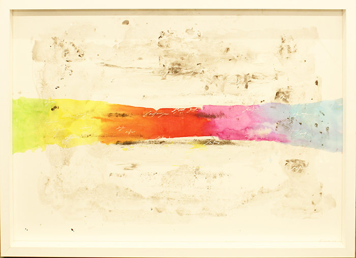 ALFREDO RAPETTI MOGOL, "Senza titolo", 2007