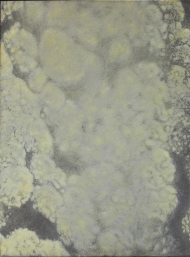 VAN VREDEN MARTIN, Senza titolo, 1984