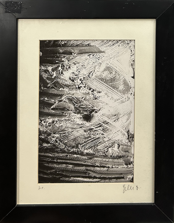 FABIO MAESTRELLI, "Macro passaggi"