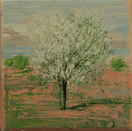 MARIO SOAVE, "Mandorlo", anni 2000