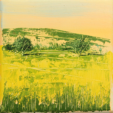 MARIO SOAVE, "Serale", anni 2000