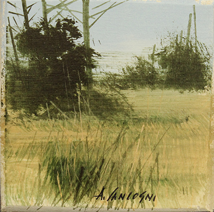 AGOSTINO CANCOGNI, anni 2000