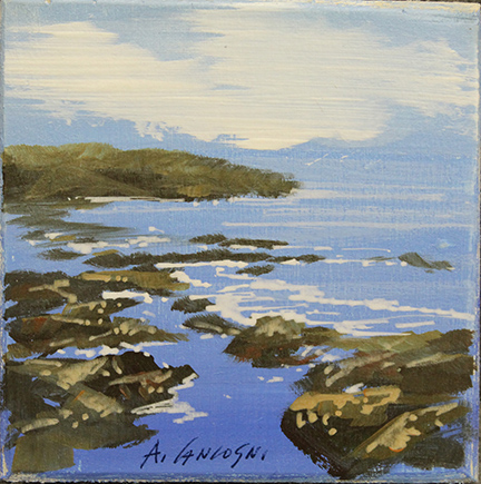 AGOSTINO CANCOGNI, anni 2000