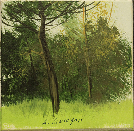 AGOSTINO CANCOGNI, anni 2000