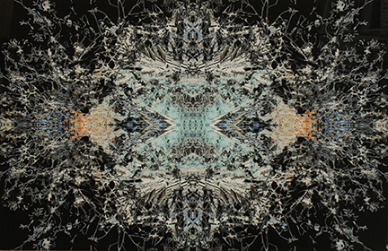 MARK COOPER, "Let there be light", 2013