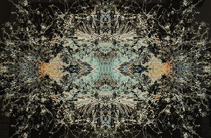 MARK COOPER, "Let there be light", 2013