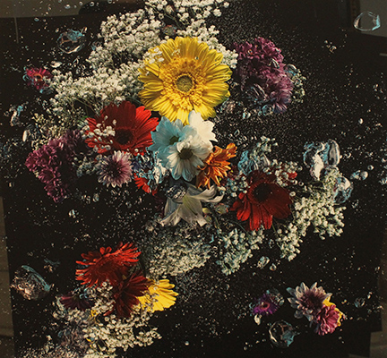 ANDREA CICALA POZZUOLI, "Flowers in the dark", 2014