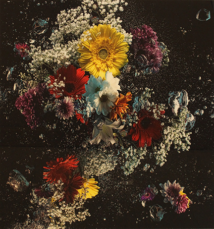 ANDREA CICALA POZZUOLI, "Flowers in the dark", 2014