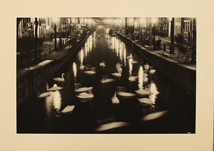 THOMAS SALME, "Swan Dance", anni 2000