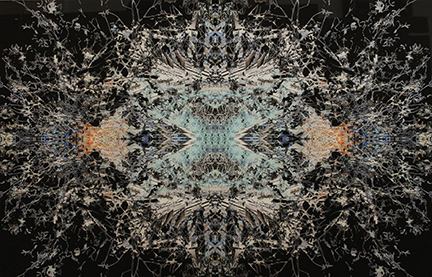 MARK COOPER, "Let there be light", 2013