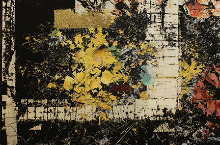 MARK COOPER, "Genesis day 2 - rational thinking", 2013