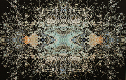 MARK COOPER, "Let there be light", 2013
