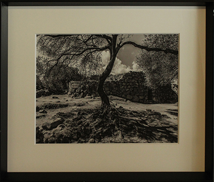 GIOVANNI MAFFI, "Sardegna", anni 2000
