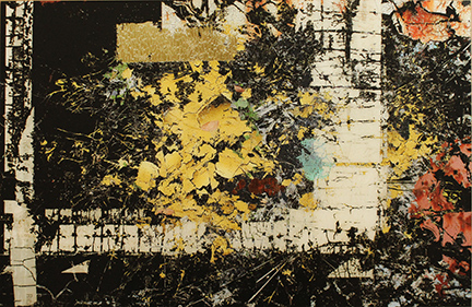 MARK COOPER, "Genesis day 2 - rational thinking", 2013
