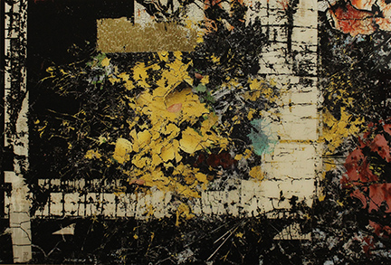 MARK COOPER, "Genesis day 2 - rational thinking", 2013