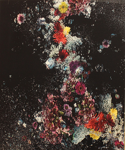ANDREA CICALA POZZUOLI, "Flowers in the dark", 2014