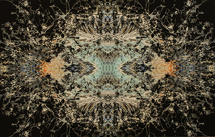 MARK COOPER, "Let there be light", 2013