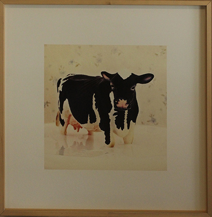 FEDERICA COGO, "Ritratti industriali #5", anni 2000