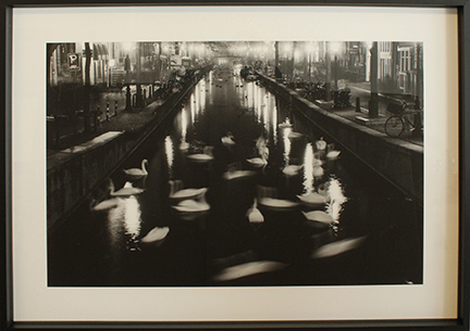 THOMAS SALME, "Swan Dance", anni 2000