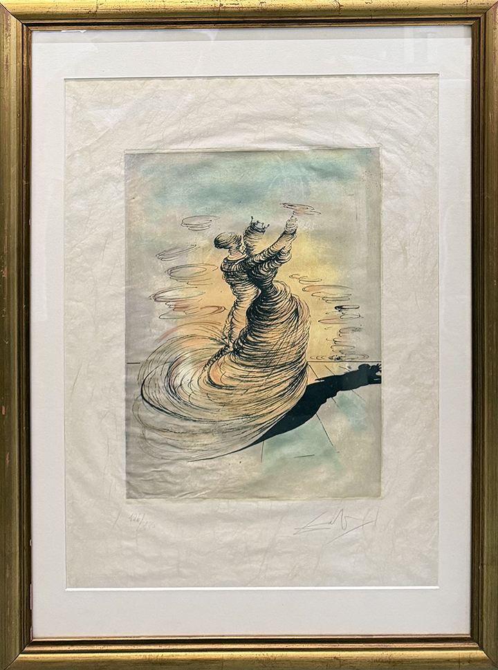 SALVADOR DALI'
